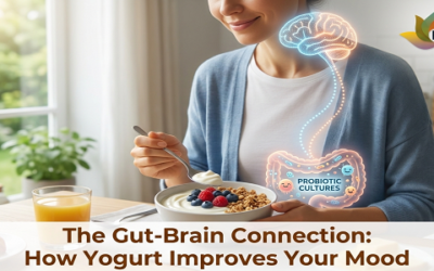 The Gut-Brain Connection How Yogurt Improves Your Mood