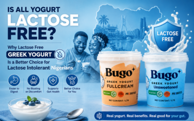 Is All Yogurt Lactose Free Why Lactose Free Greek Yogurt Is a Better Choice for Lactose Intolerant Nigerians