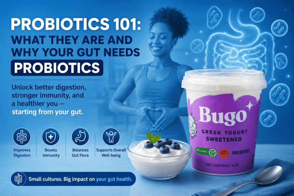 Probiotics 101 What They Are and Why Your Gut Needs Probiotics for Gut Health