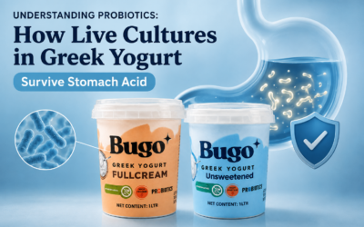 Understanding Probiotics with Bugo Greek Yogurt Full Cream and Unsweetened products, illustrating how live probiotic cultures survive stomach acid to support gut health.